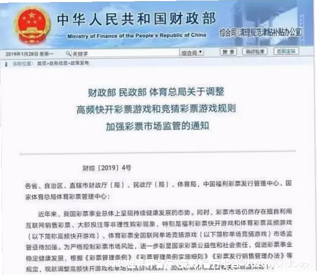 我们的故事：从球迷到守护者